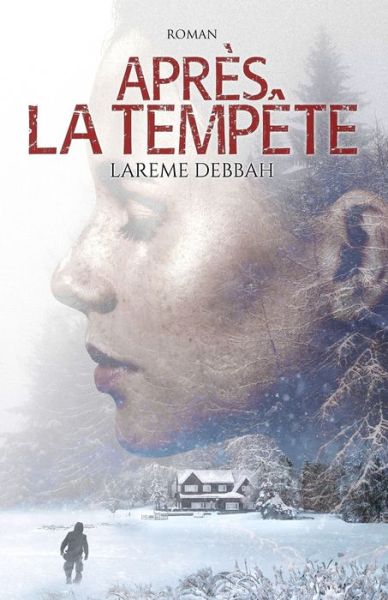 Cover for Larème Debbah · Apres la tempete (Paperback Book) (2020)