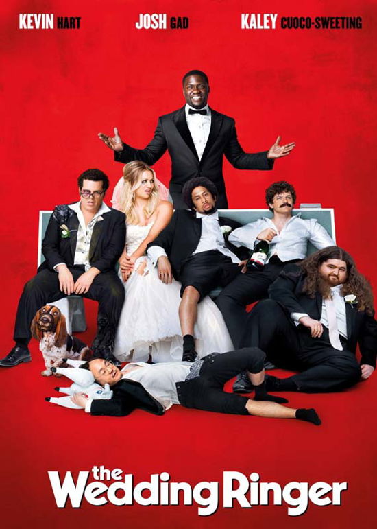 Cover for Wedding Ringer (DVD) (2015)