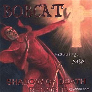 Presents - Bobcat - Muzyka -  - 0634479015632 - 2003