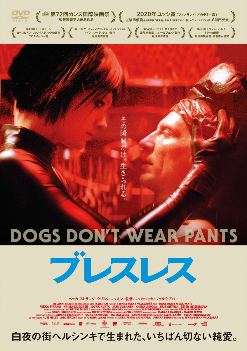 Amazon.com : Dogs Don't Wear Pants Metal Tin Sign Vintage Wall Art  Decoration Living Room Bathroom Kitchen Movie Poster Decor 8 * 12 Inches :  Home & Kitchen