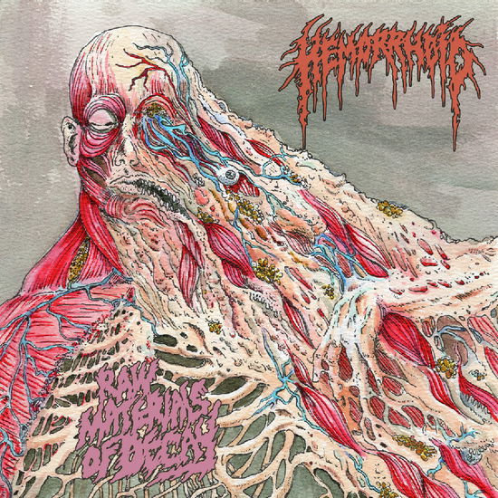 Hemorrhoid · Raw Materials of Decay (LP) (2024)