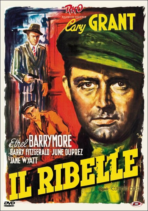 Cover for Ribelle (Il) (DVD) (2015)