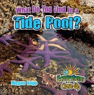 Cover for Megan Kopp · What do you find in a tide pool? (Book) (2016)