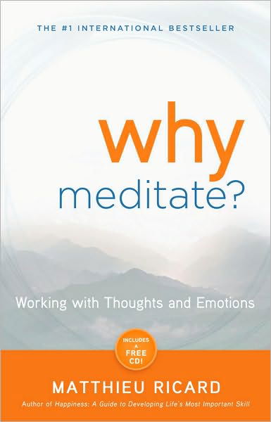 Cover for Matthieu Ricard · Why Meditate: Working with Thoughts and Emotions (Paperback Bog) [Pap / Com edition] (2010)