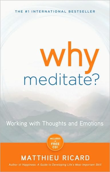 Cover for Matthieu Ricard · Why Meditate: Working with Thoughts and Emotions (Paperback Book) [Pap / Com edition] (2010)