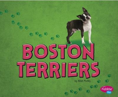 Cover for Allan Morey · Boston Terriers (Book) (2016)