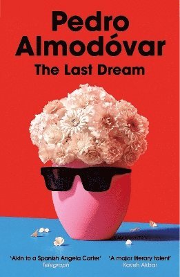 Cover for Pedro Almodovar · The Last Dream (Paperback Book) (2025)