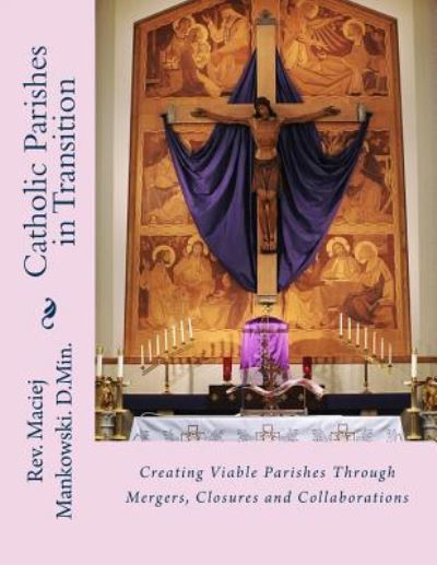 Cover for Rev Maciej J Mankowski D Min · Catholic Parishes in Transition (Paperback Book) (2016)