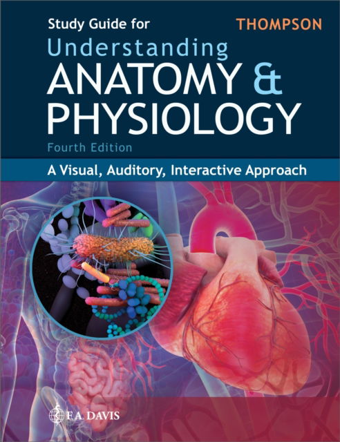 Cover for Gale Sloan Thompson · Study Guide for Understanding Anatomy &amp; Physiology: A Visual, Auditory, Interactive Approach (Paperback Book) [4 Revised edition] (2024)