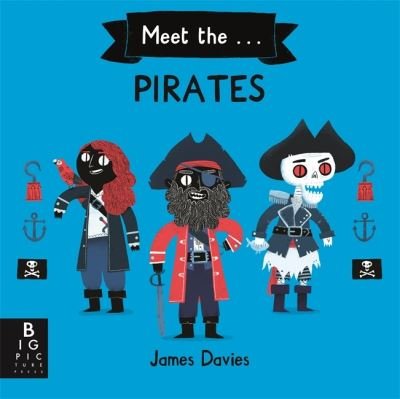 Meet the Pirates - James Davies - Bøker - Templar Publishing - 9781787417632 - 9. juli 2020