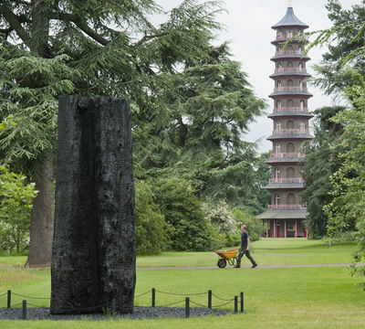 David Nash: A Natural Gallery - Michelle Payne - Books - Royal Botanic Gardens - 9781842464632 - March 31, 2013