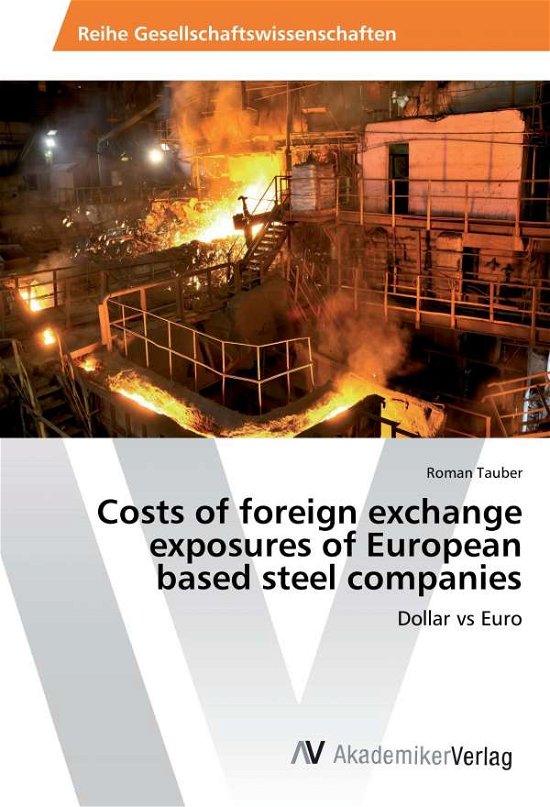 Cover for Tauber · Costs of foreign exchange exposu (Buch)