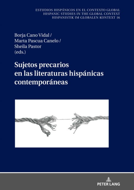 Cover for Sujetos precarios en las literaturas hispanicas contemporaneas - Estudios Hispanicos en el Contexto Global. Hispanic Studies (Hardcover Book) (2022)