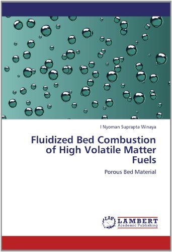Cover for I Nyoman Suprapta Winaya · Fluidized Bed Combustion of High Volatile Matter Fuels: Porous Bed Material (Taschenbuch) (2012)