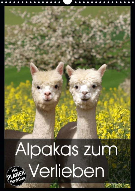 Cover for Rentschler · Alpakas zum Verlieben (Wandk (Book)