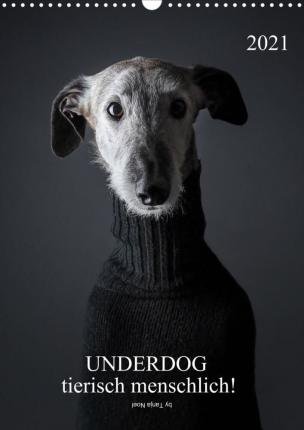 Cover for Noel · UNDERDOG - Windhundportraits (Wand (Buch)