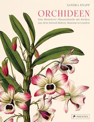 Cover for Sandra Knapp · Orchideen (Hardcover Book) (2022)