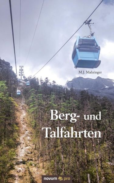 Cover for M J Mahringer · Berg- Und Talfahrten (Paperback Book) (2015)