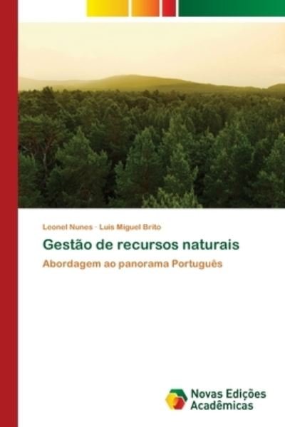Cover for Nunes · Gestão de recursos naturais (Bok) (2017)