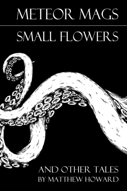 Meteor Mags: Small Flowers and Other Tales - Meteor Mags - Matthew Howard - Książki - Independently Published - 9798619145632 - 29 lutego 2020
