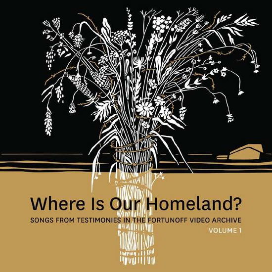 Cover for Zisl Slepovitch &amp; Sasha Lurje · Where Is Our Homeland? Songs From Testimonies In The Fortunoff Video Archive. Vol. 1 (LP) (2021)