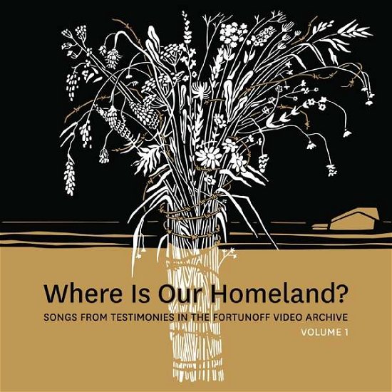 Cover for Zisl Slepovitch &amp; Sasha Lurje · Where Is Our Homeland? Songs From Testimonies In The Fortunoff Video Archive Vol. 1 (LP) (2021)