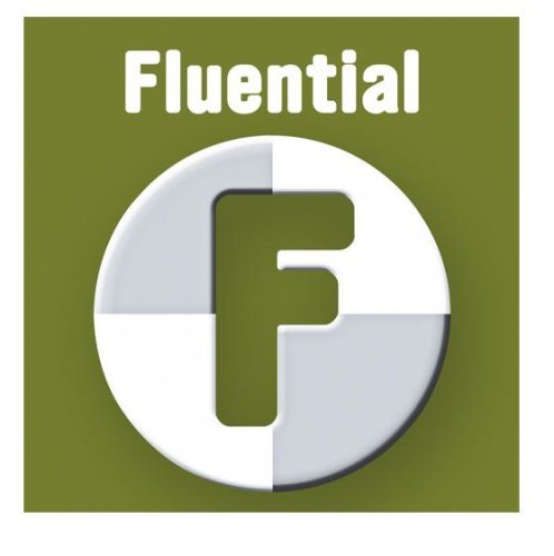 Cover for Fluential (CD) (2009)