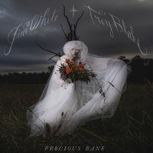Precious Bane - Jim White - Music - FLUFF AND GRAVY RECORDS - 0850019164633 - January 31, 2025