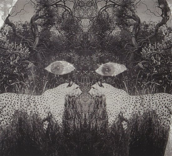 Cover for Rakka · Soutu (CD) (2012)
