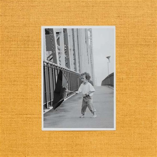 Cover for Jordan Rakei · Wallflower (LP) [Standard edition] (2017)