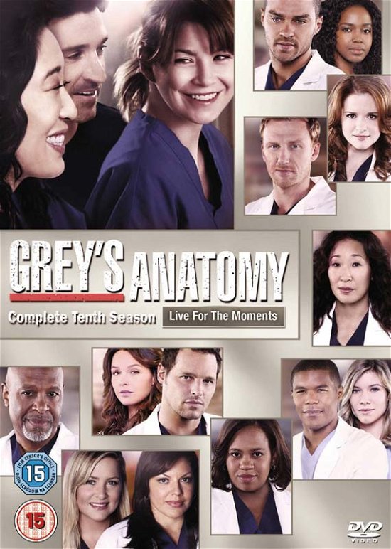 Cover for Greys Anatomy Season 10 (DVD) (2014)