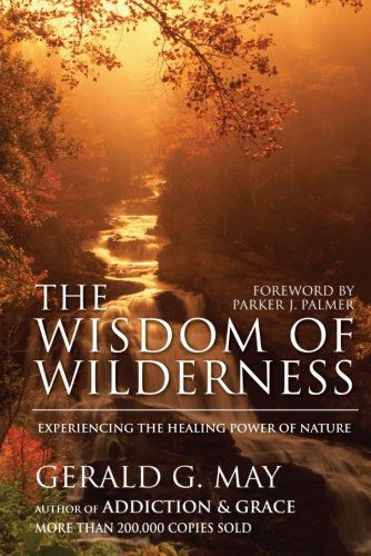 Cover for Gerald G. May · The Wisdom of Wilderness: Experiencing the Healing Power of Nature (Paperback Book) (2007)