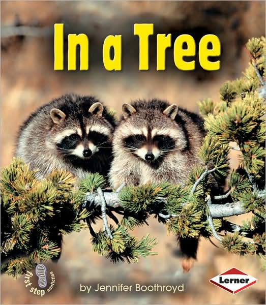 Cover for Jennifer Boothroyd · In a Tree (First Step Nonfiction) (Paperback Book) (2006)