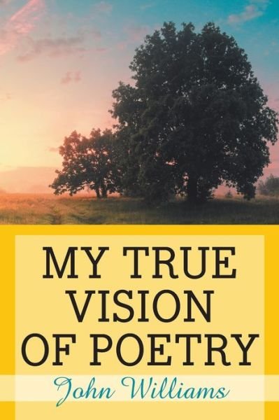 Cover for John Williams · My True Vision of Poetry (Pocketbok) (2020)