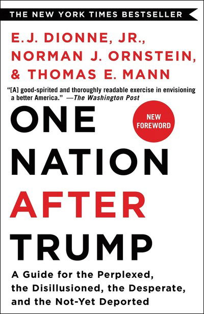 Cover for E. J. Dionne Jr. · One Nation After Trump: A Guide for the Perplexed, the Disillusioned, the Desperate, and the Not-Yet Deported (Paperback Book) (2018)