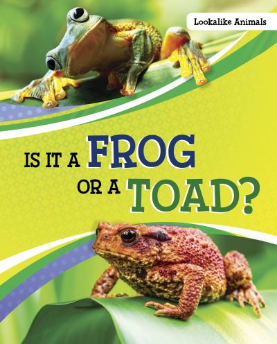 Cover for Susan B. Katz · Is It a Frog or a Toad? - Look-Alike Animals (Hardcover Book) (2022)