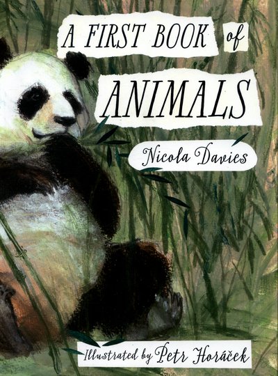 Cover for Nicola Davies · A First Book of Animals (Innbunden bok) (2016)