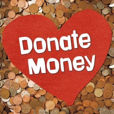 Cover for Emily Raij · Donate Money - Earn It, Save It, Spend It! (Pocketbok) (2020)