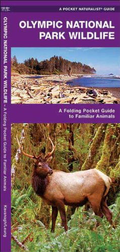 Cover for James Kavanagh · Olympic National Park Wildlife: a Folding Pocket Guide to Familiar Species (Pocket Naturalist Guide Series) (Pamphlet) [1st edition] (2017)