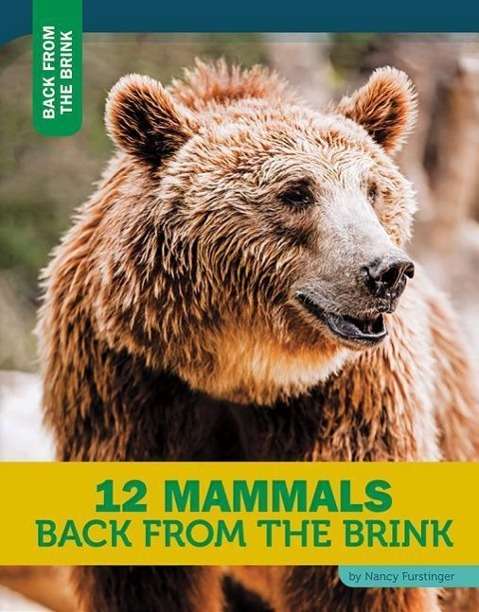 Cover for Nancy Furstinger · 12 Mammals Back from the Brink (Paperback Book) (2015)