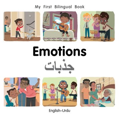 Cover for Patricia Billings · My First Bilingual BookEmotions (EnglishUrdu) (Board book) (2021)