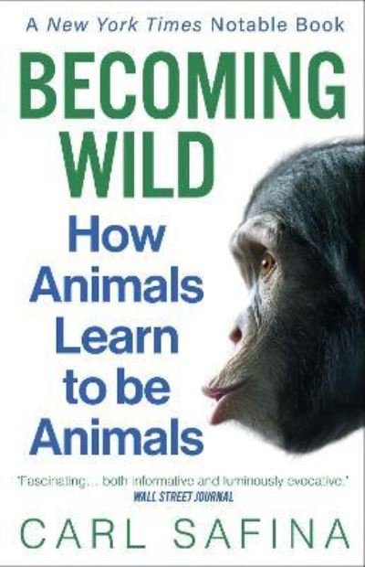 Cover for Carl Safina · Becoming Wild: How Animals Learn to be Animals (Pocketbok) (2022)