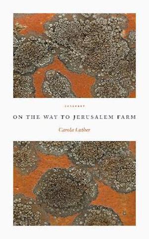 Cover for Carola Luther · On the Way to Jerusalem Farm (Paperback Book) (2021)