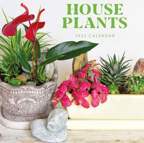 Red Robin · House Plants 2025 Square Wall Calendar (Paperback Book) (2024)