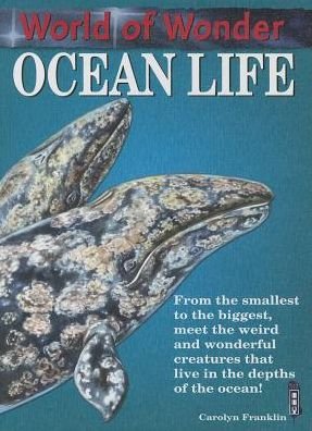 Cover for Carolyn Franklin · Ocean Life (World of Wonder) (Hardcover Book) (2013)