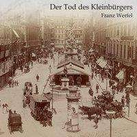 Cover for Werfel · Werfel:der Tod Des KleinbÃ¼rgers,mp3-cd (CD)