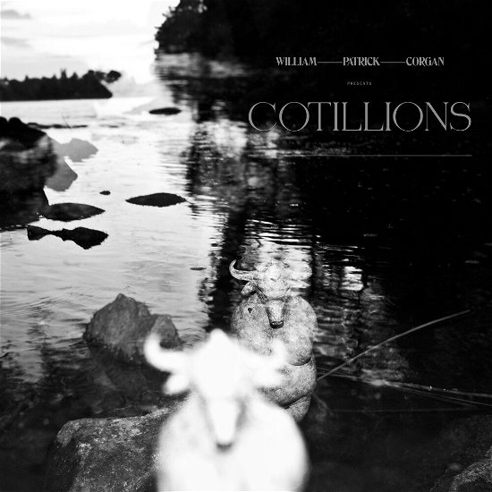 Cover for William Patrick Corgan · Cotillions (LP) [Limited, Coloured edition] (2020)