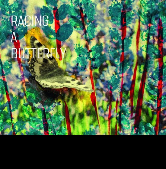 Cover for Anne Mette -Quartet+1- Iversen · Racing A Butterfly (LP) (2020)