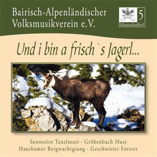 Cover for Bairisch-alpenländischer Volksmusikverein E.v. · Musterkofferl 5-und I Bin a Frisch's Jagerl (CD) (2016)