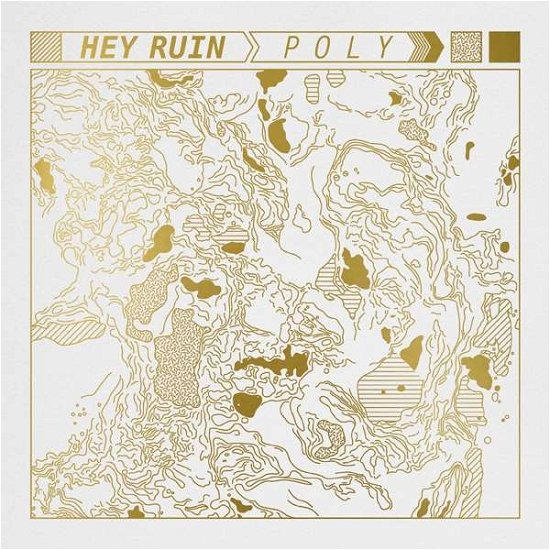 Cover for Hey Ruin · Poly (LP) (2017)
